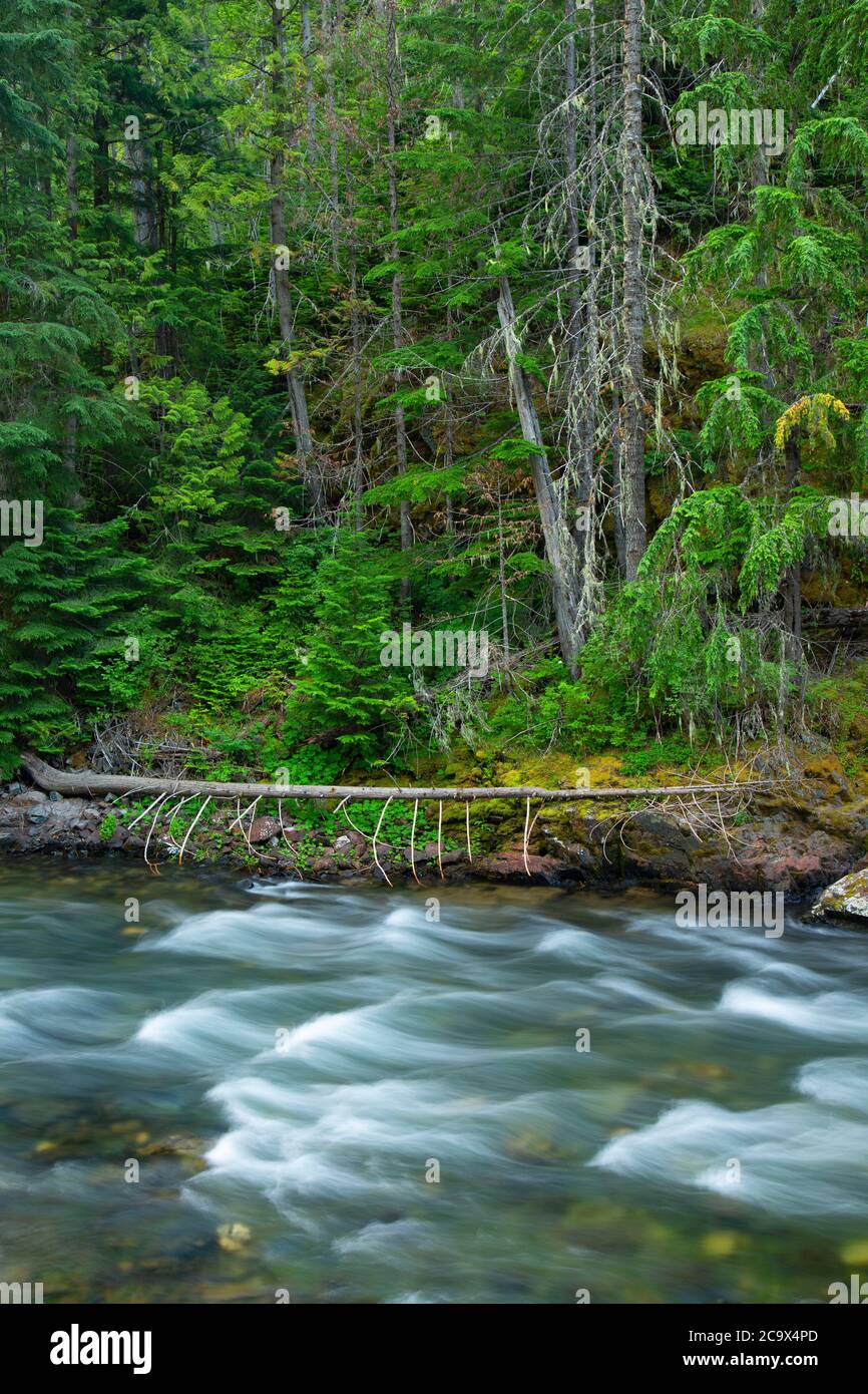 St joe river scenic byway idaho hi-res stock photography and images - Alamy