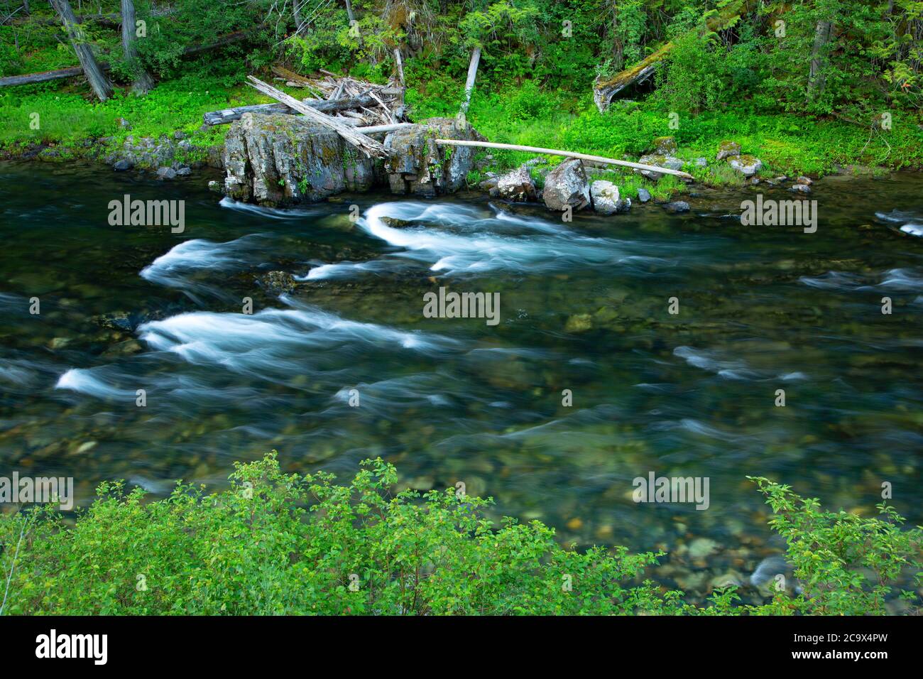St. Joe Wild and Scenic River, St. Joe National Forest, St. Joe River ...