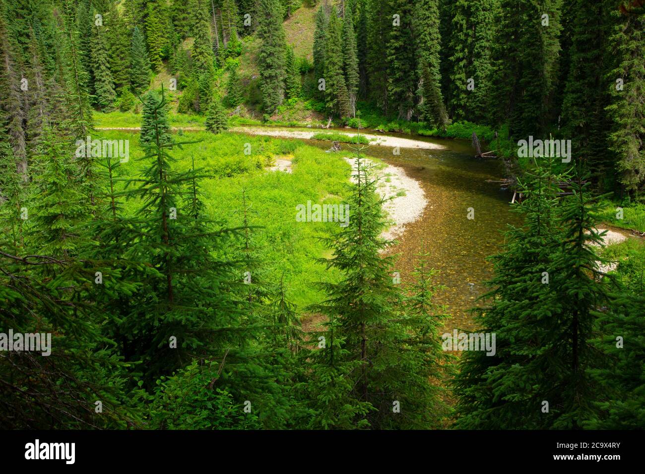 St. Joe Wild and Scenic River from St. Joe River Trail, St. Joe ...