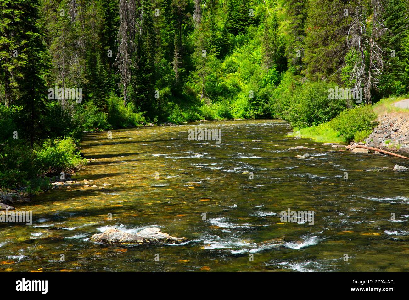 St. Joe Wild and Scenic River, St. Joe National Forest, St. Joe River ...