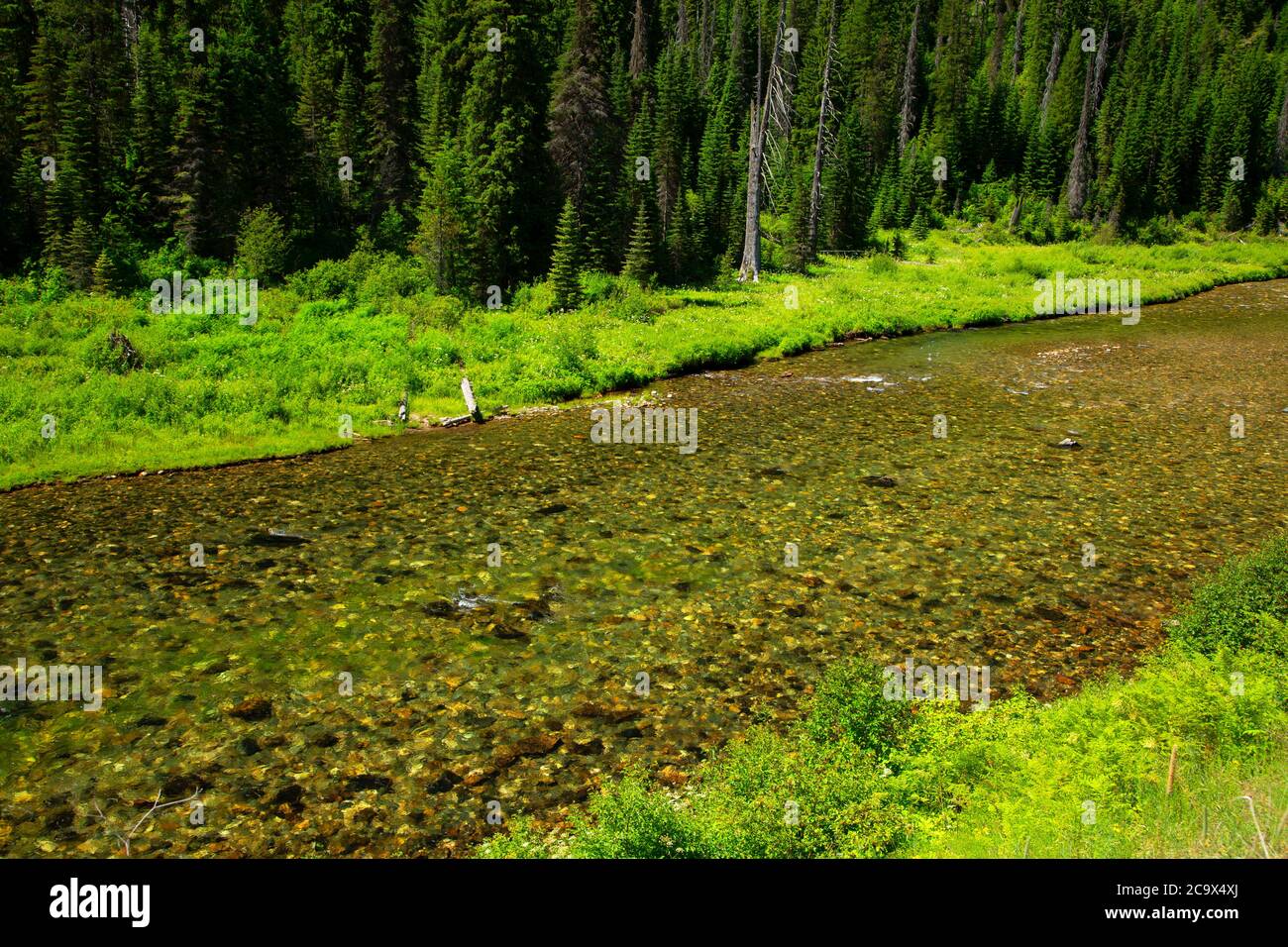 St. Joe Wild and Scenic River, St. Joe National Forest, St. Joe River ...