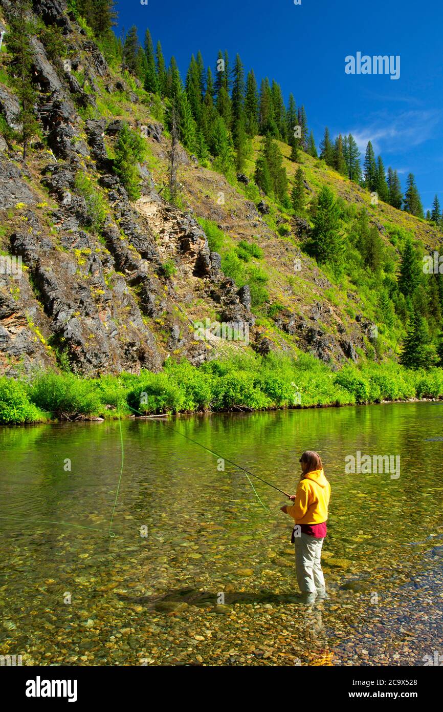 Flyfishing the St. Joe Wild and Scenic River, St. Joe National Forest ...