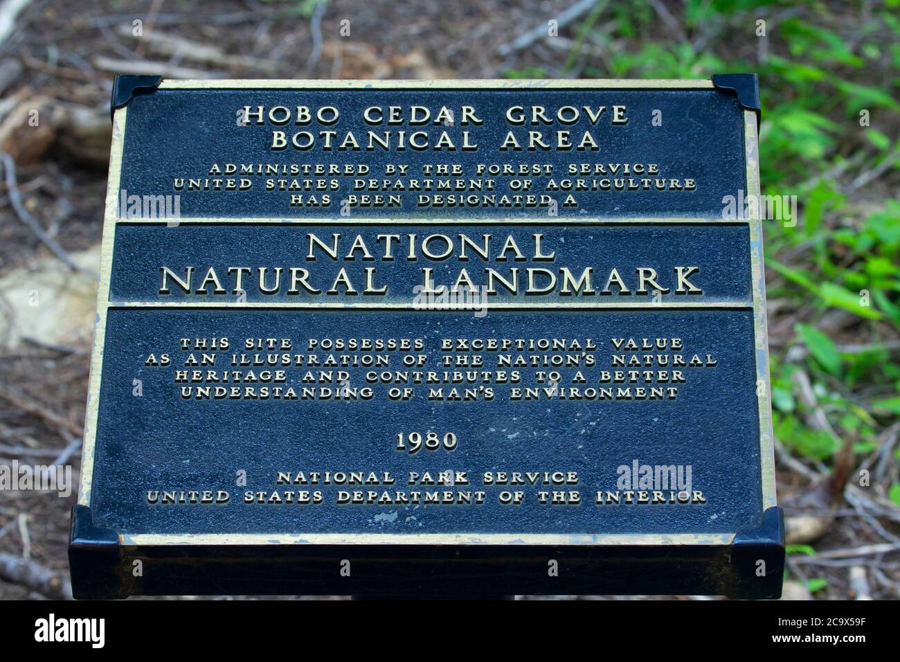 National Natural Landmark plaque at Hobo Cedar Grove, St. Joe National Forest, Idaho Stock Photo