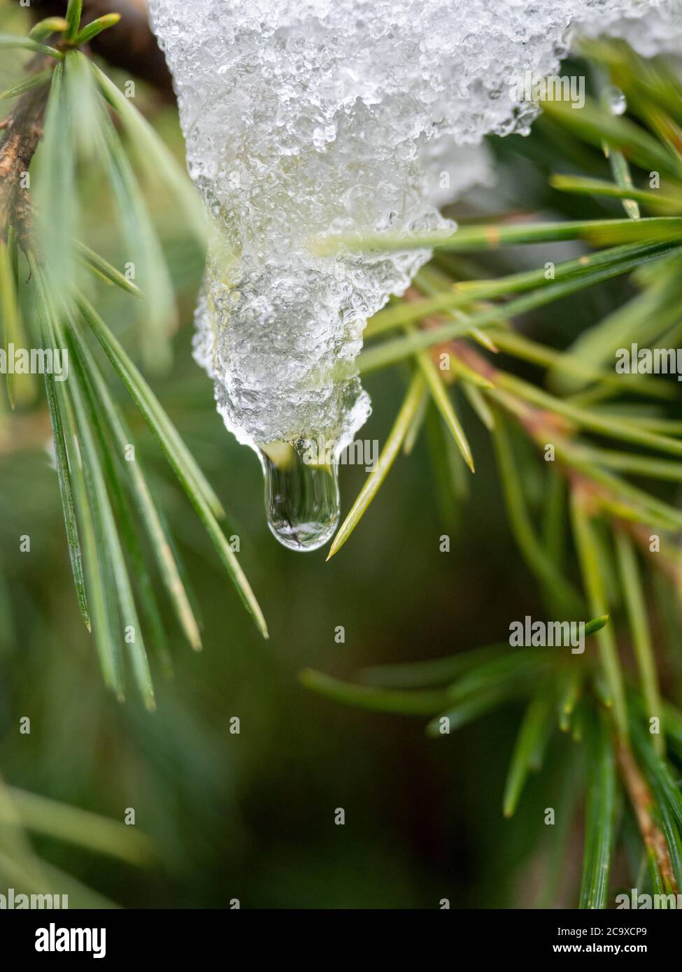 Ice melting with the spring thaw Stock Photo