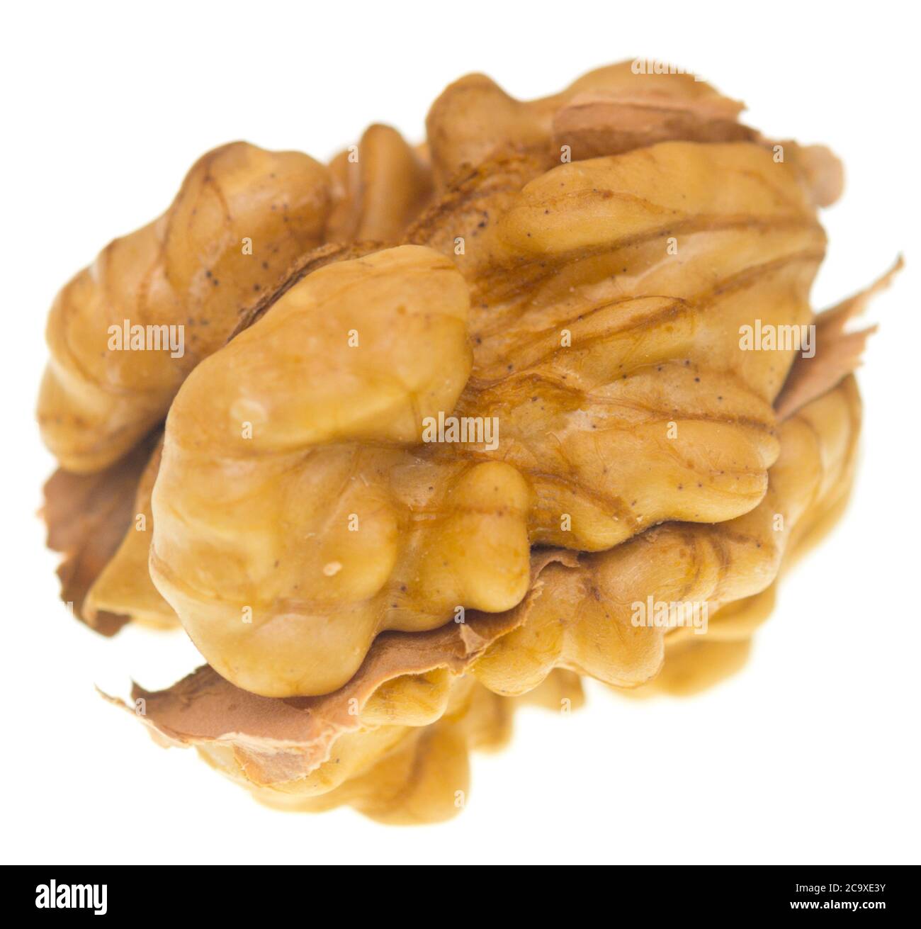 Walnut without shell isolated on white background Stock Photo