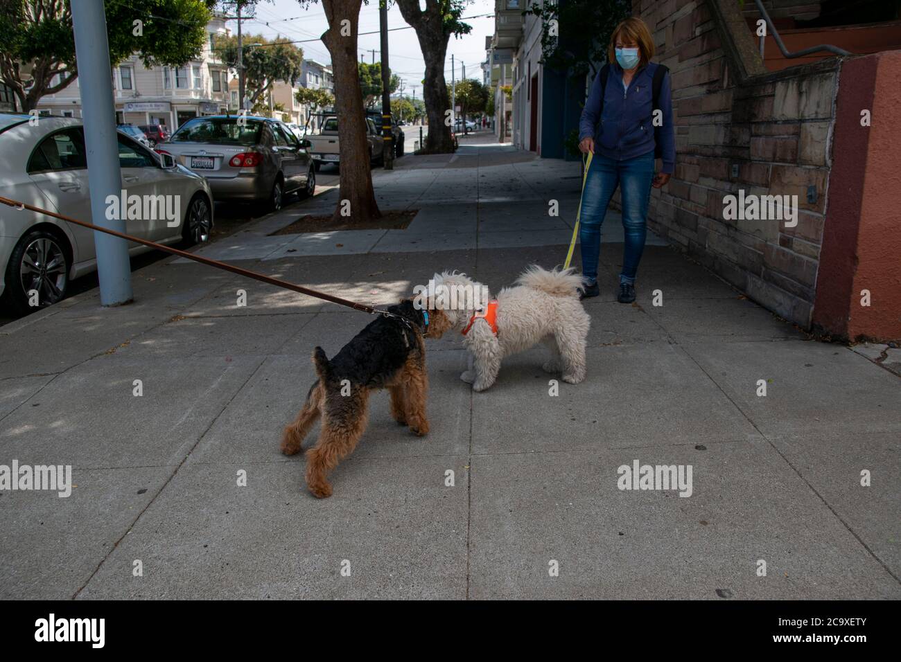 A pair of dog walkers stop for a chat on the sidewalk in the Noe Valley neighborhood of San Francisco, CA, USA. Stock Photo
