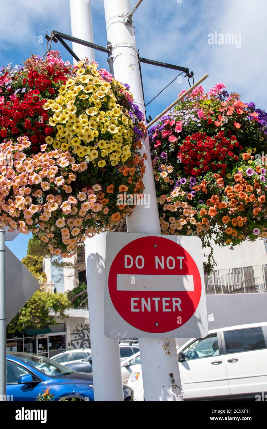 azirtips Flowers San Francisco Sunday Your Event Conservatory Of