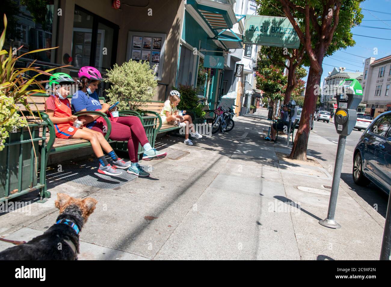 The Noe Valley neighborhood in San Francisco, CA, USA is a colorful