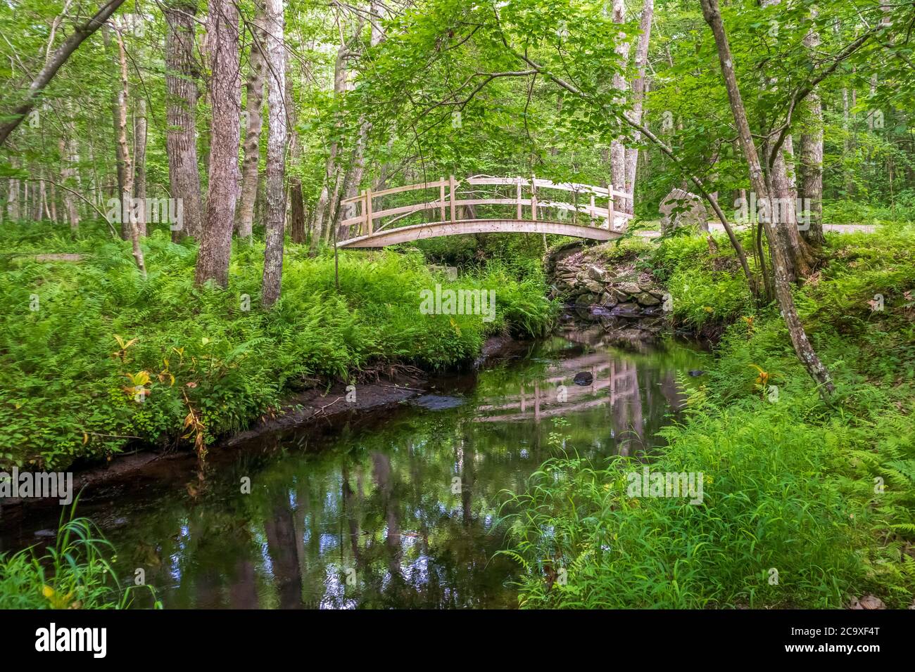 Scenic summer landscape in Wilbour Woods, Rhode Island Stock Photo