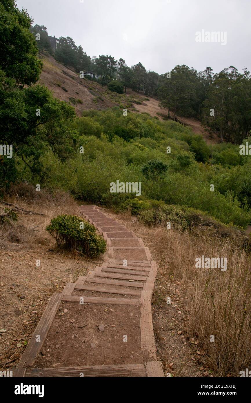 There are many staircases such as this one along hiking trails in Glen