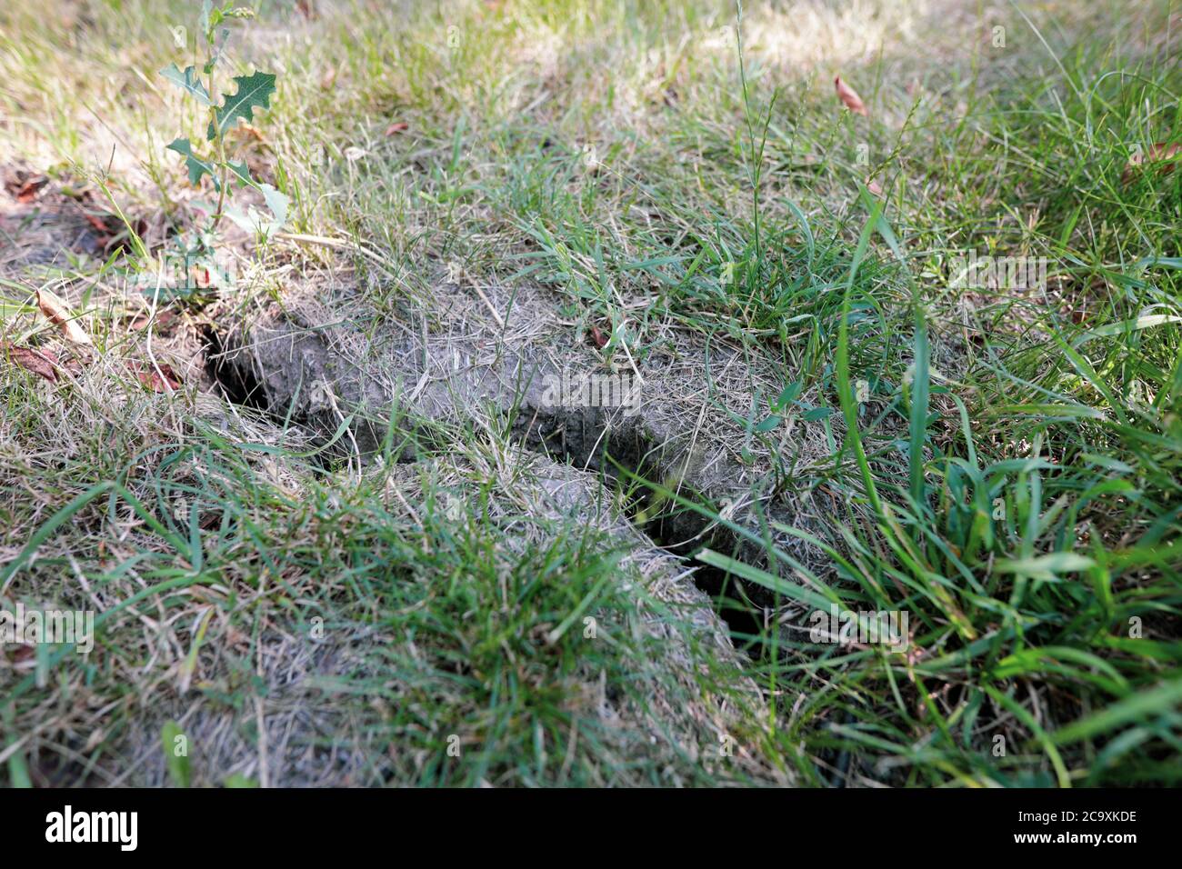 Crack in earth due to prolonged drought in the yard of a Romanian
