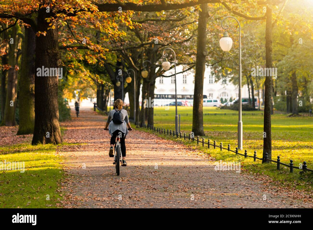 Autumn city public park in Europe Stock Photo - Alamy