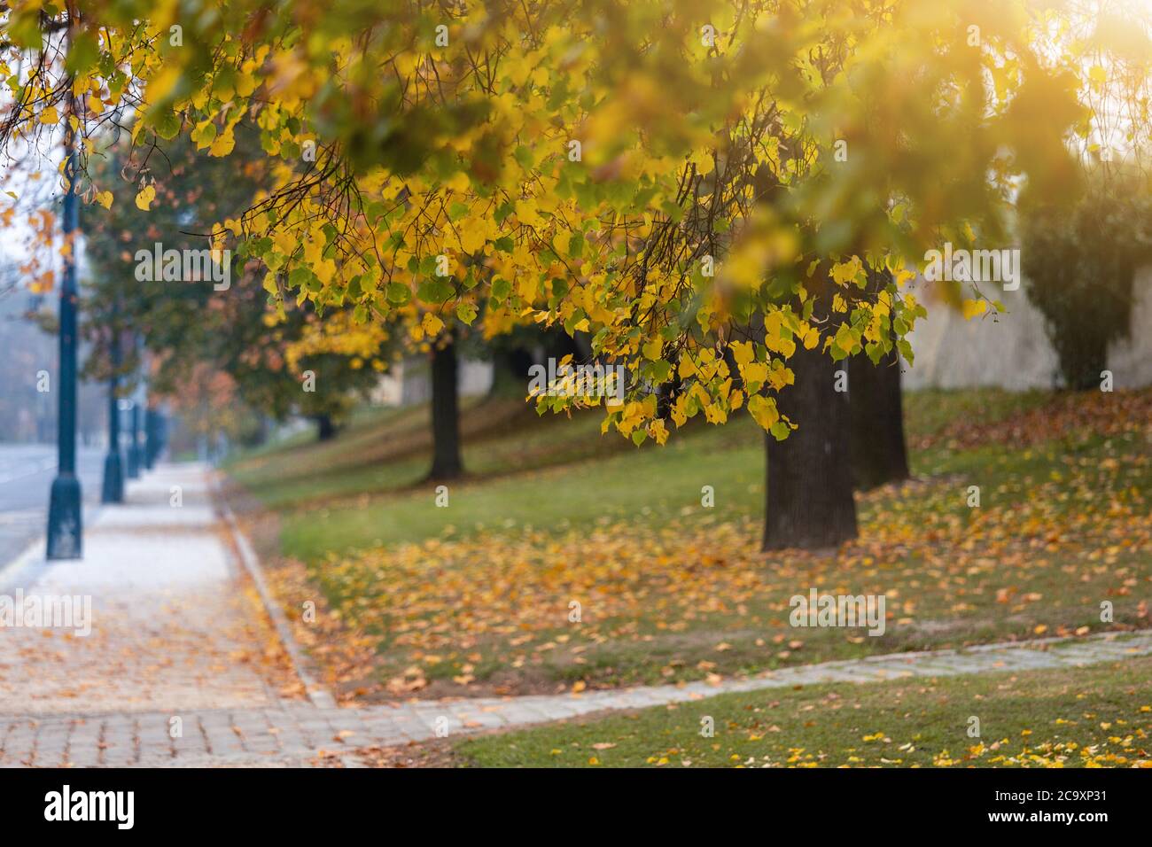 Autumn city public park in Europe Stock Photo - Alamy