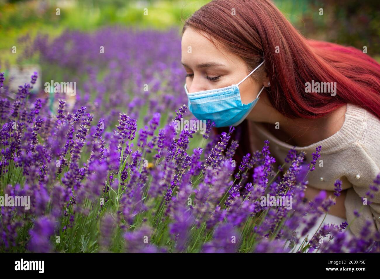 Young woman with red long hair wearing surgical mask trying to smell  flowers of purple lavender. Allergy, covid, flu Stock Photo - Alamy