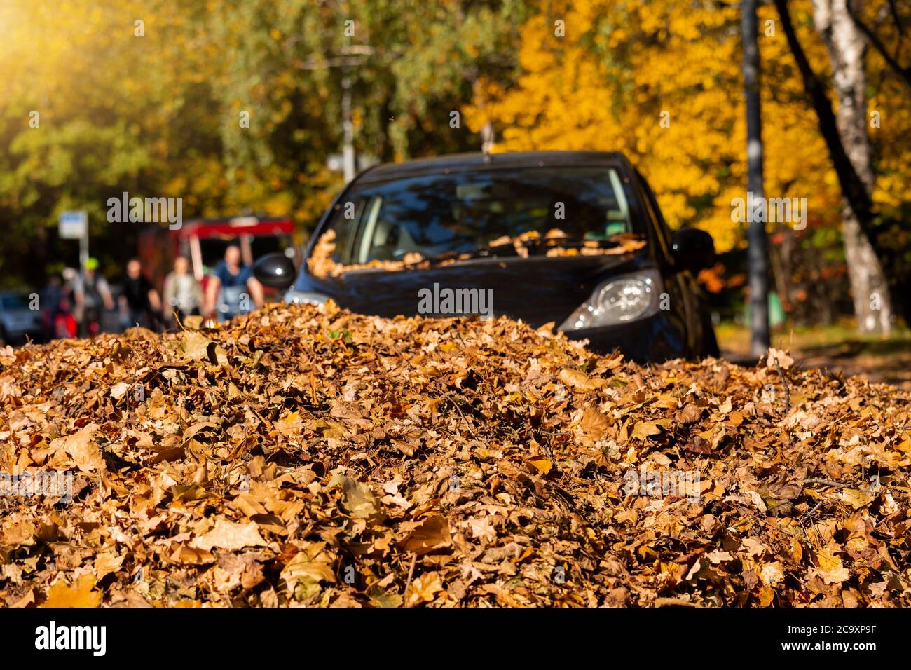 The car is parked in a pile of autumn leaves Stock Photo