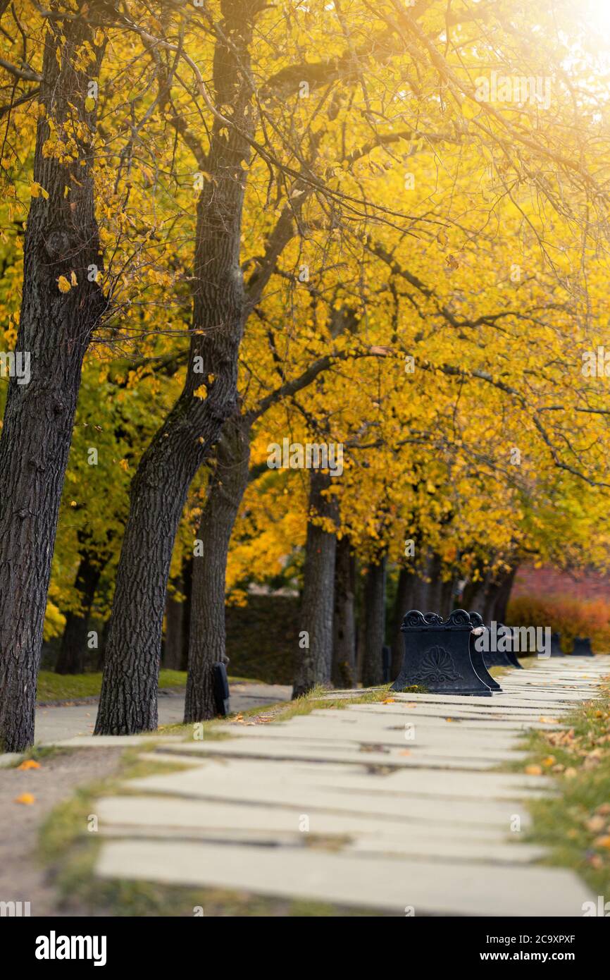 Autumn city public park in Europe Stock Photo - Alamy