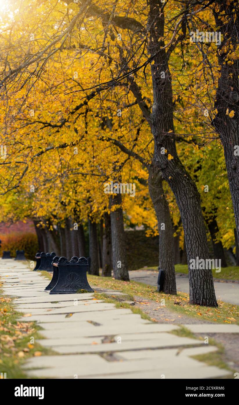Autumn city public park in Europe Stock Photo - Alamy