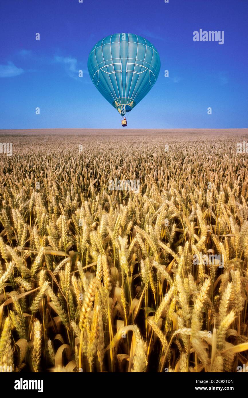 Flying over wheat field agriculture hi-res stock photography and images ...