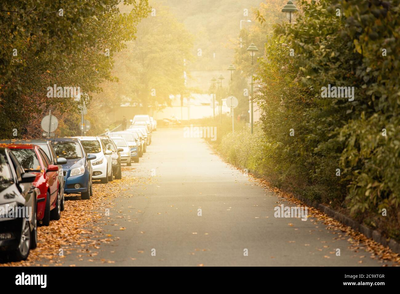 Cars parked on the street. Autumn in the city Stock Photo