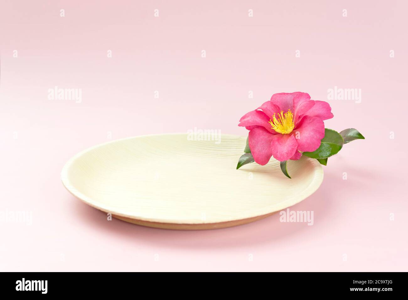 Natural disposable plate with pink tropical flower Stock Photo