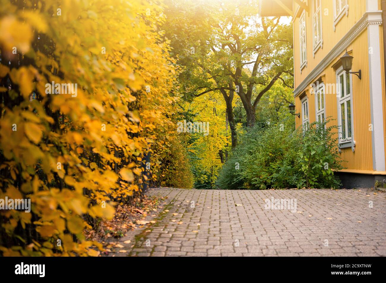 Autumn city street in Europe Stock Photo