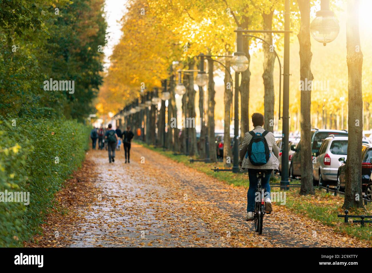 Autumn city public park in Europe Stock Photo - Alamy
