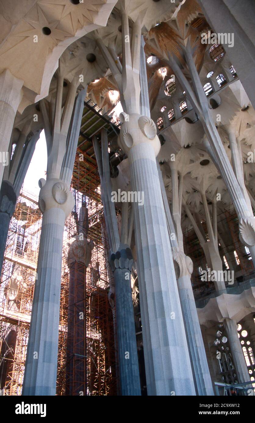 Interior of Sagrada Familia by architect Antoni Gaudi . Barcelona ...