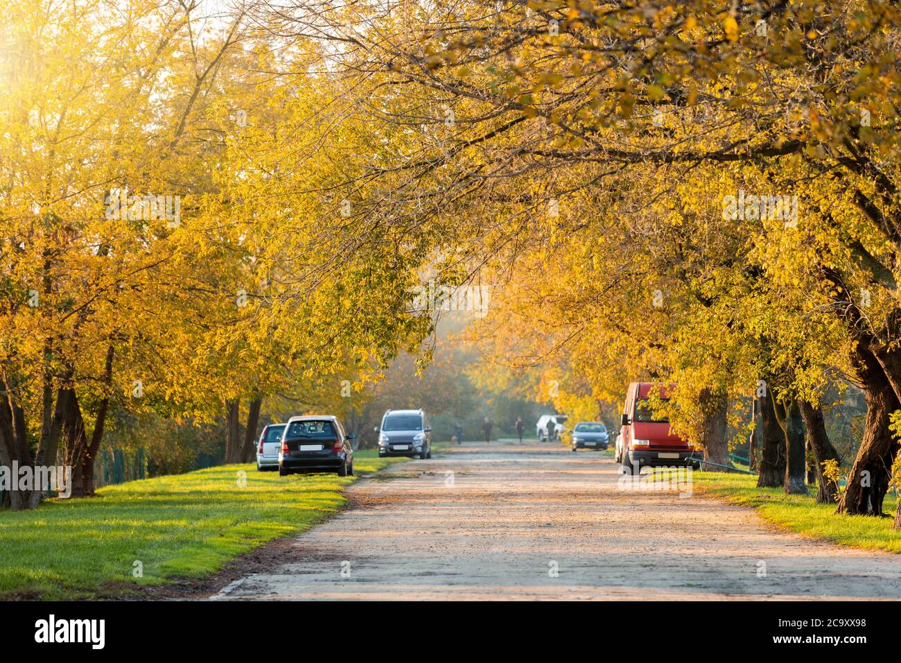 Autumn city public park in Europe Stock Photo - Alamy