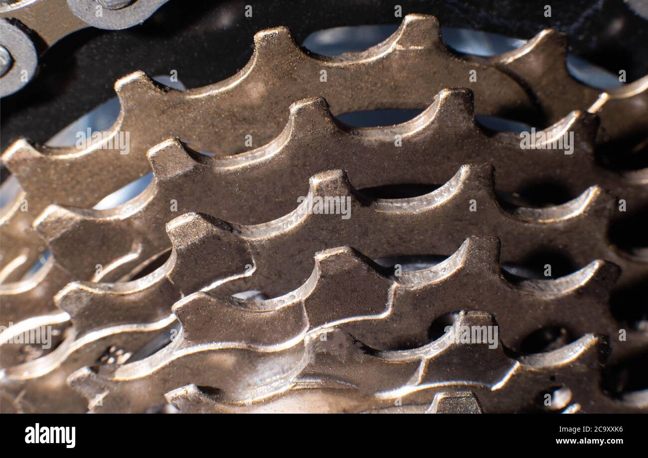 wiggle assos bib shorts