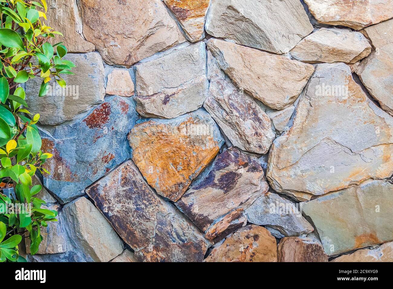 Beautiful background of closeup brown gray stone wall with green leaves