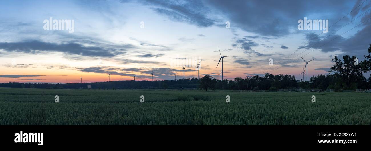 Panoramic view of wind turbines farm in sunset. Field of fields of green cereals in sunset. Ecology, renewable energy sources. Wind energy in Poland Stock Photo