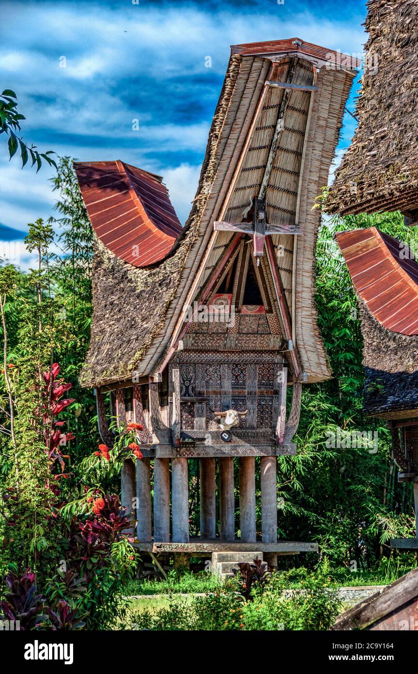Traditional Toraja village, Tona Toraja, South Sulawesi, Great Sunda Islands, Indonesia Stock Photo