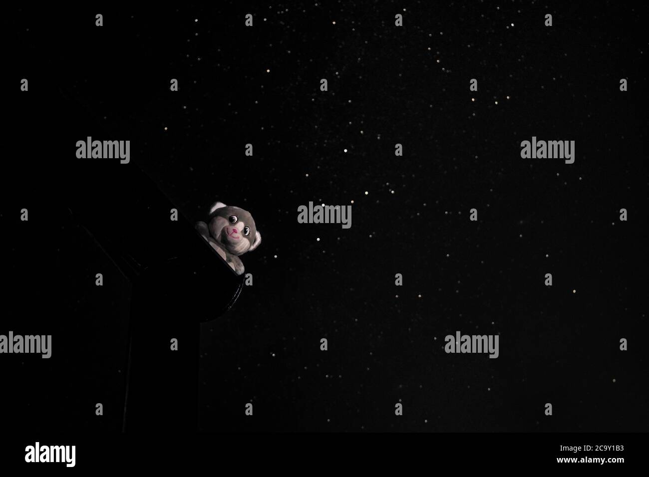 teddy bear looking looking alive night sky background Stock Photo Alamy