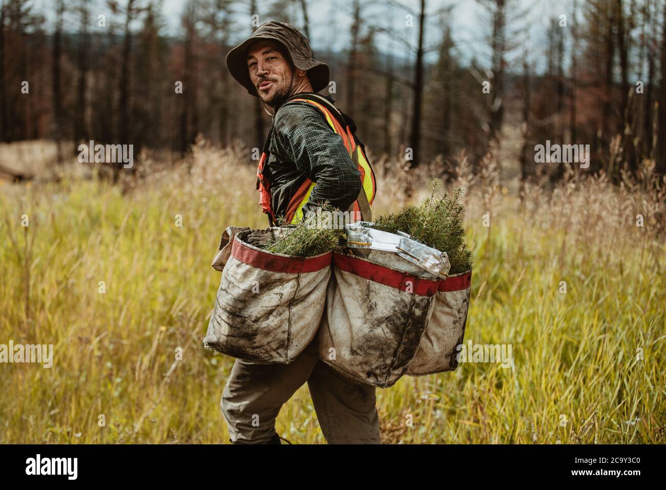 Forester walking through the forest carrying bag full of trees. Man working in forestry looking over shoulder at camera and smiling. Stock Photo