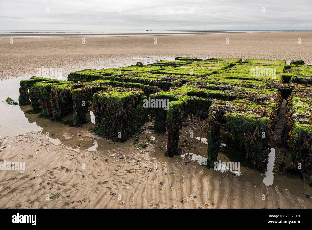 Remains of an old wartime pontoon used for the D-Day landings on Utah Beach, Normandy, France Stock Photo