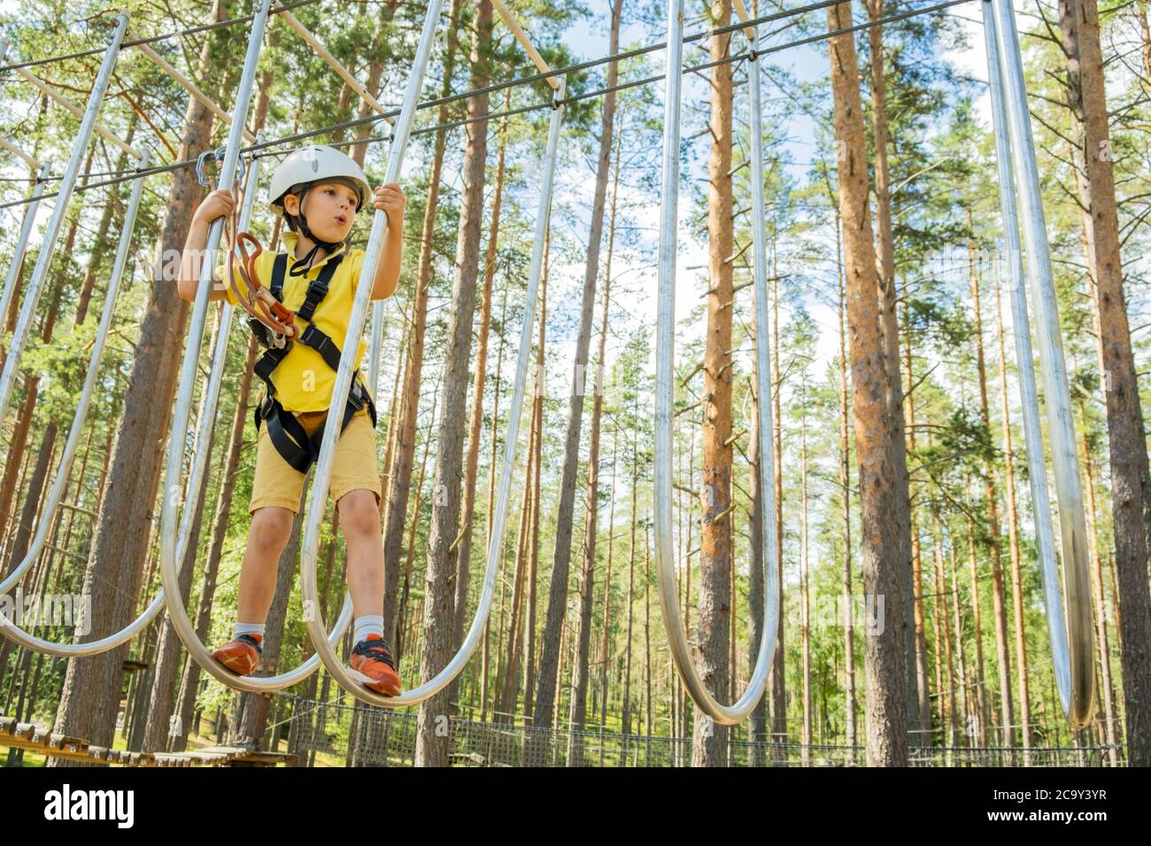 Little boy with climbing gear climbing rope trail between pine trees in rope park. Boy enjoys