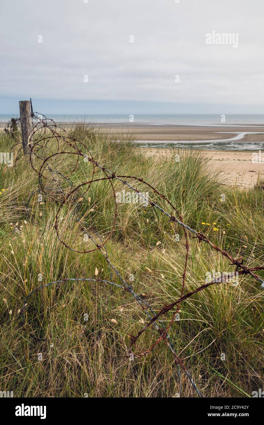 Relics from the World War II D-Day Landings - barbed wire on Utah Beach, Normandy, France Stock Photo