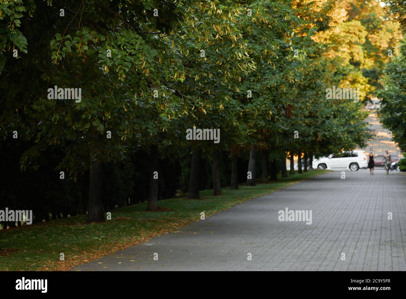 Turning city road nature hi-res stock photography and images - Alamy