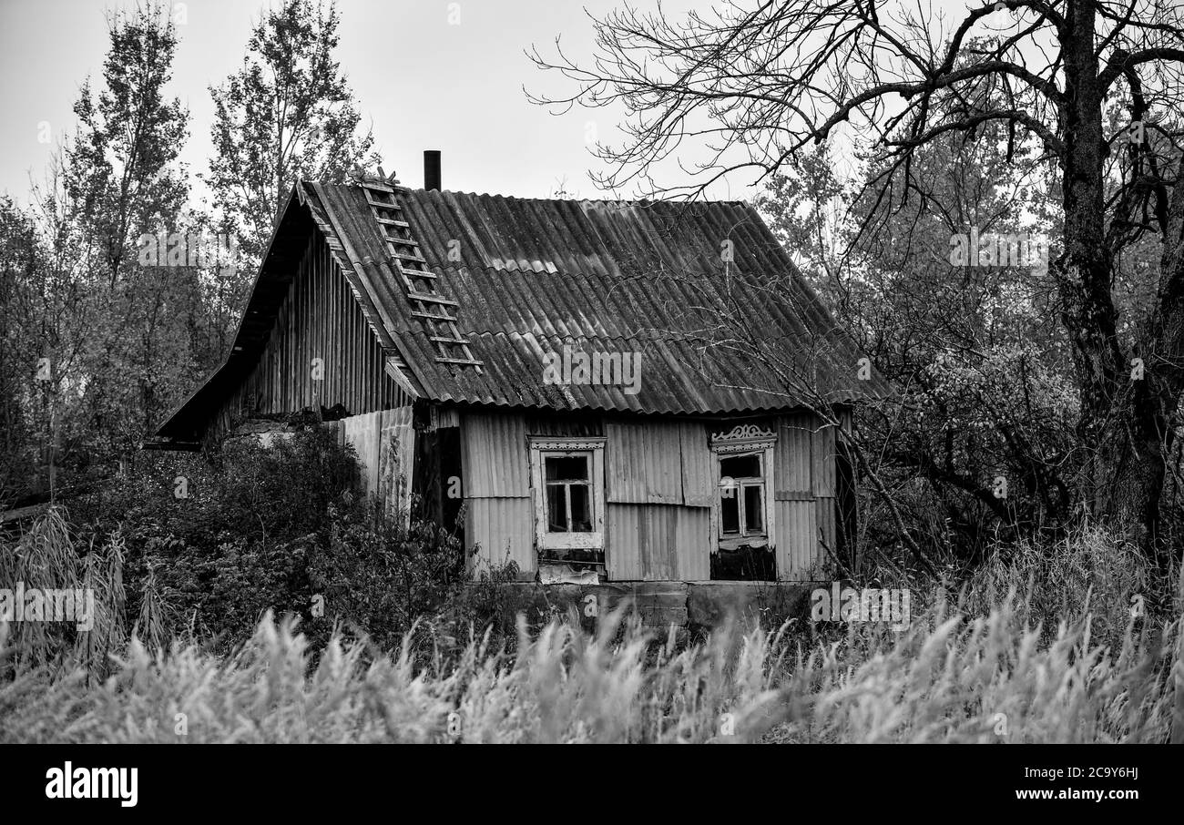 Cabin forest Black and White Stock Photos & Images - Alamy