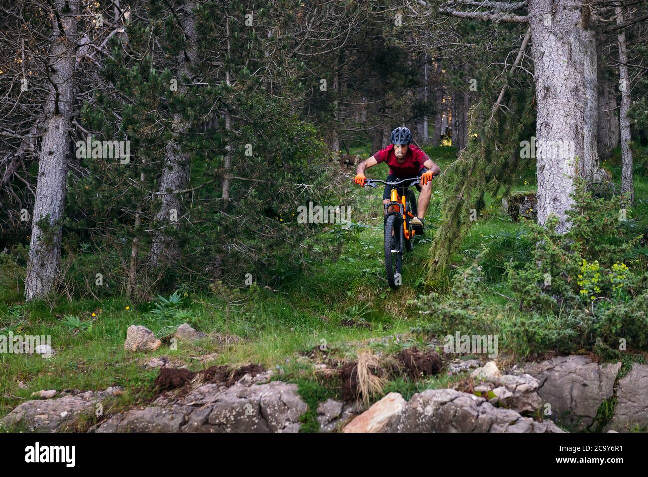 man doing a mountain bike downhill in a forest, concept of sport and