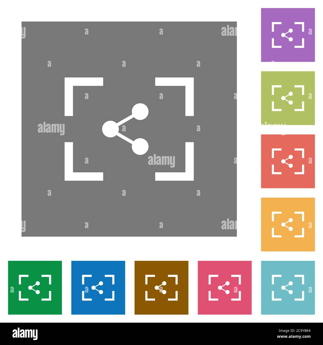 Camera share image flat icons on simple color square backgrounds Stock Vector