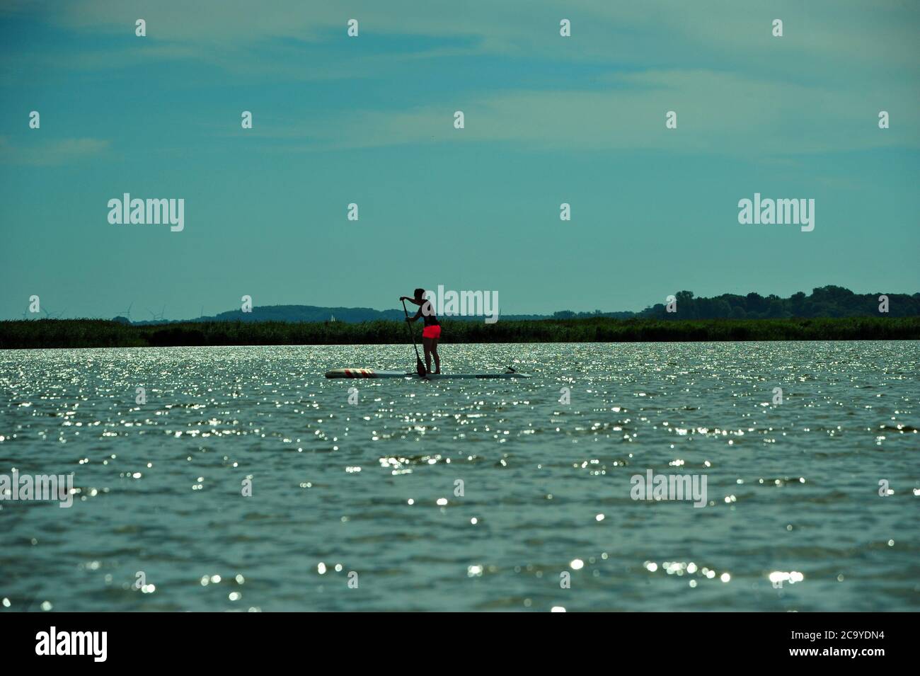StandupPaddling, Schlei, Deutschland Stock Photo Alamy