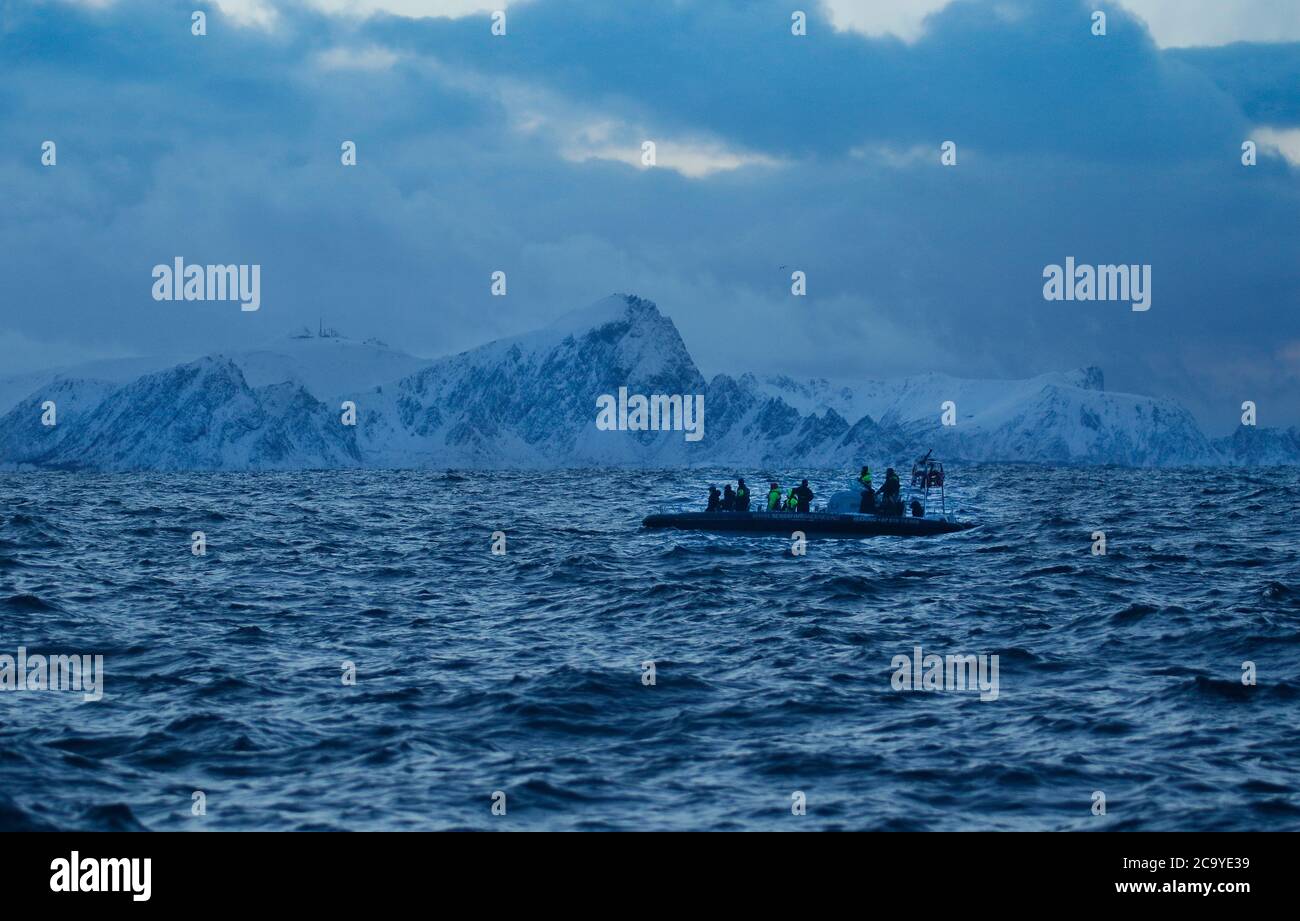 Tourist expedition looking for orcas in Andenes, Andoya island, Vesteralen, Norway, Scandinavia, Europe Stock Photo