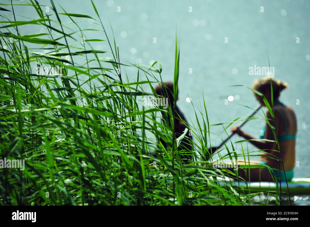 StandupPaddling, Schlei, Deutschland Stock Photo Alamy