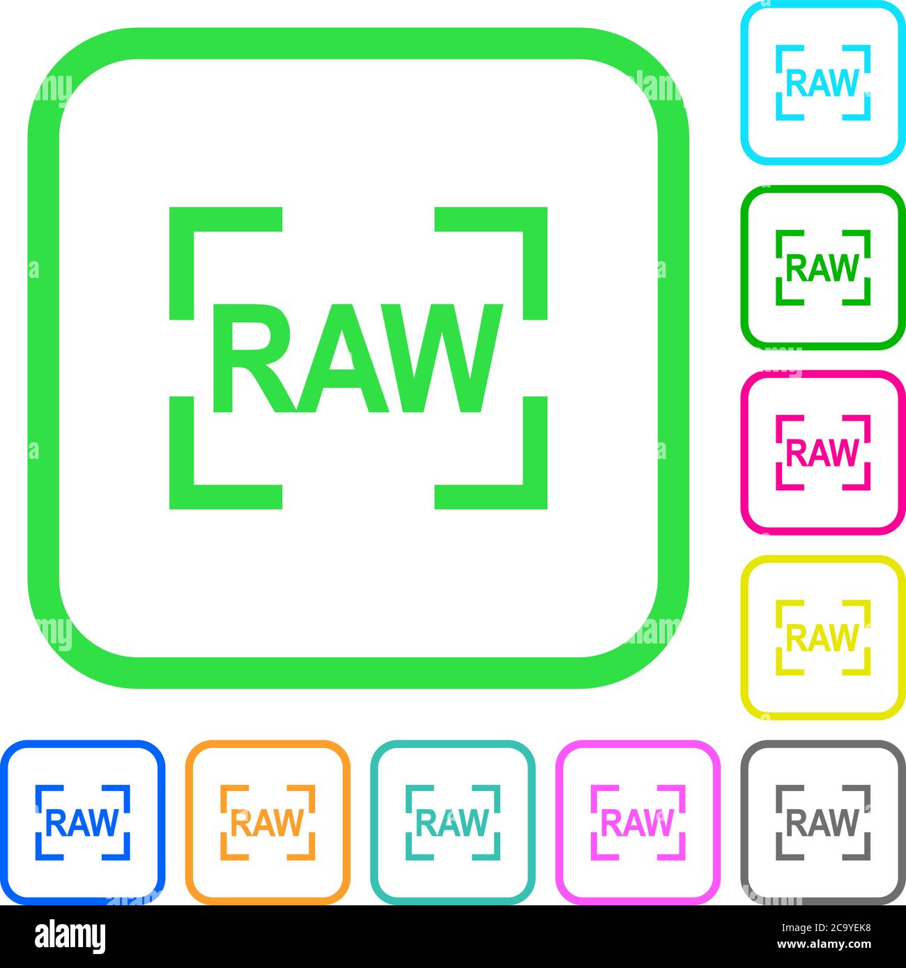 Camera raw image mode vivid colored flat icons in curved borders on ...