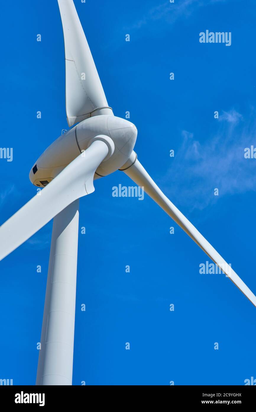 Electricity wind generators at Fehmarn island. Renewable energy and