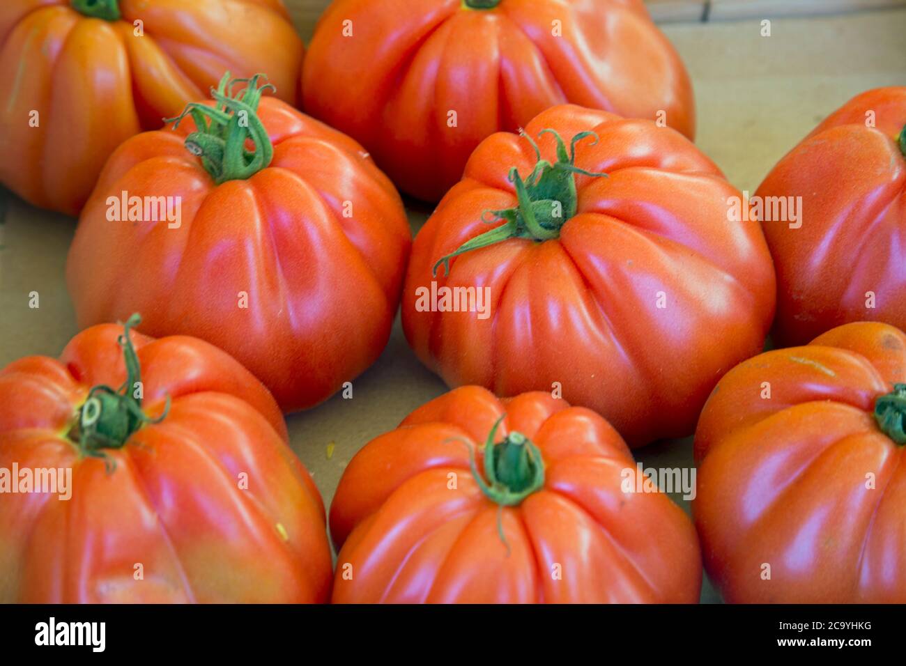 Tomato calyx hires stock photography and images Alamy