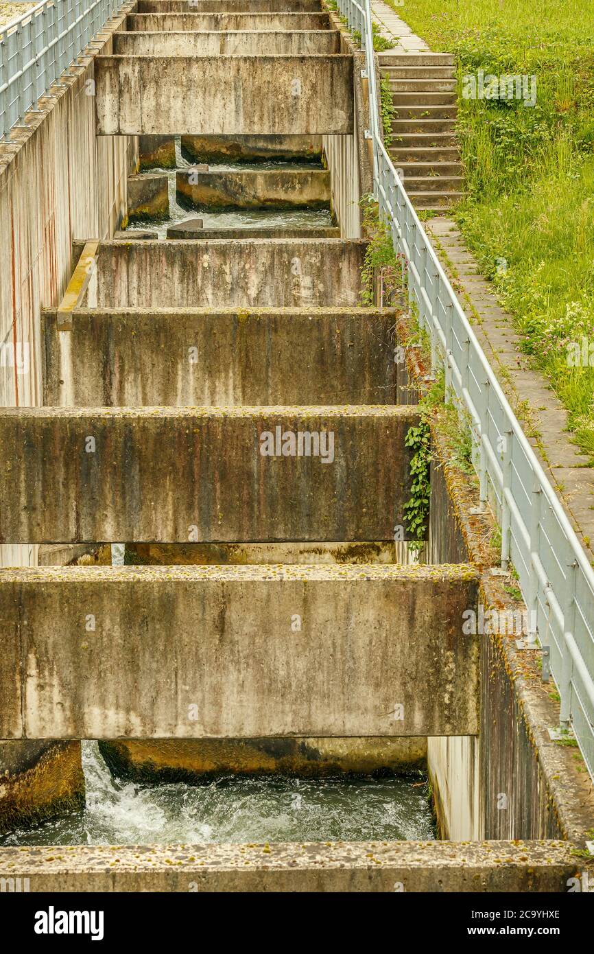 Salmon stairs hires stock photography and images Alamy