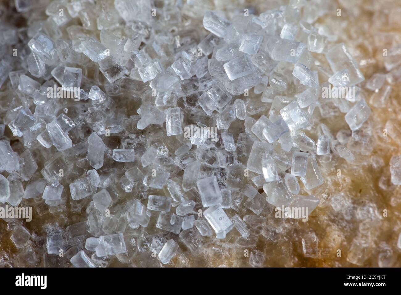 Macro photograph of sugar granules on a golden pastry Stock Photo
