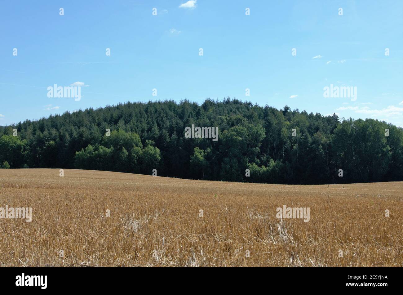 The Palatinate Forest, Germany Stock Photo - Alamy